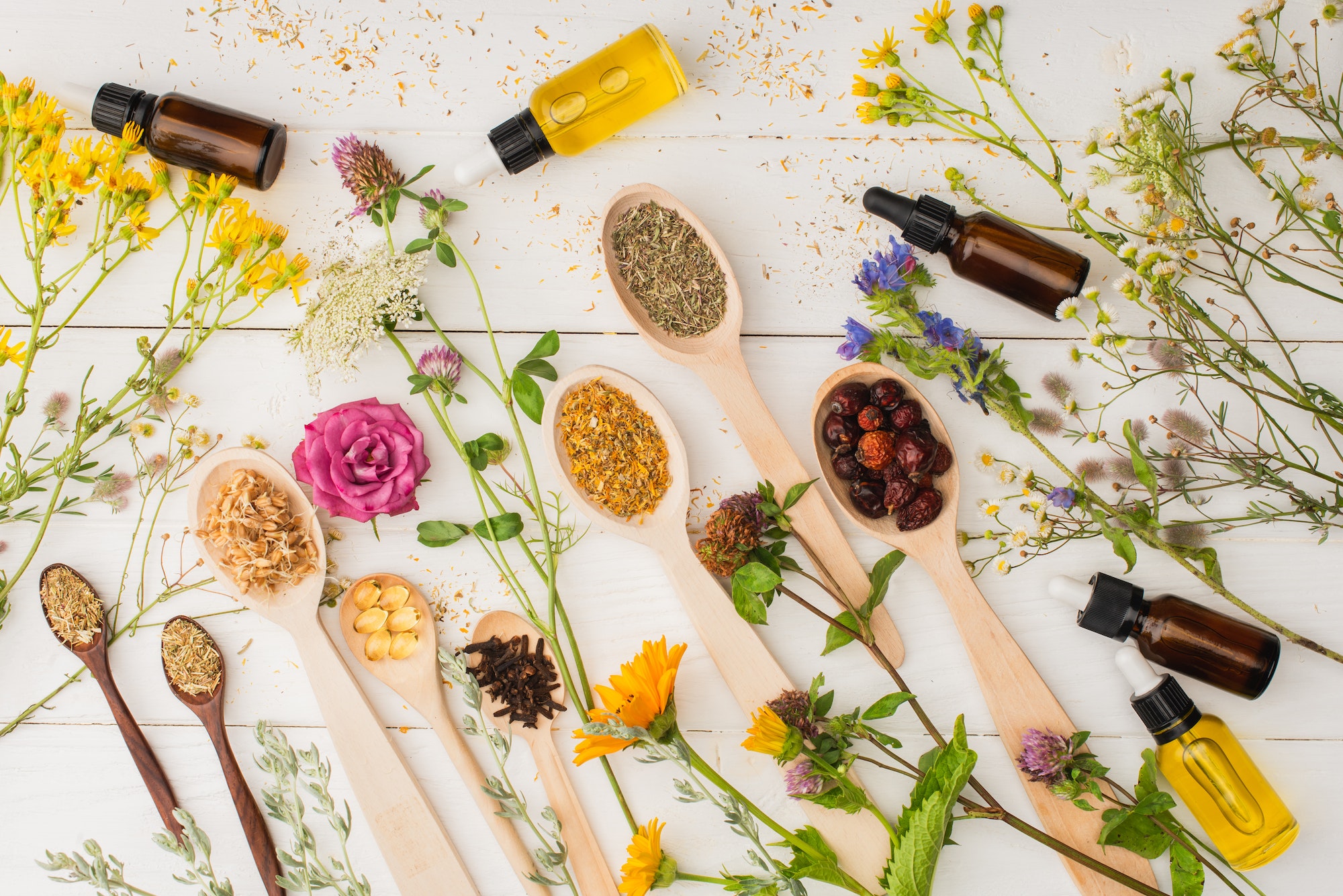 Corso di certificazione per operatori di naturopatia