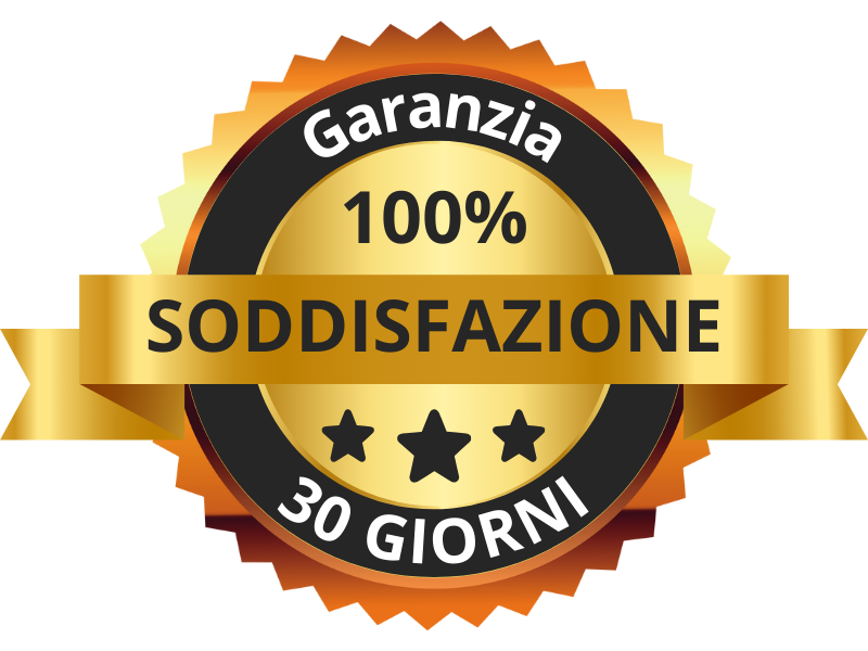 IT SBC Guarantee badge 1