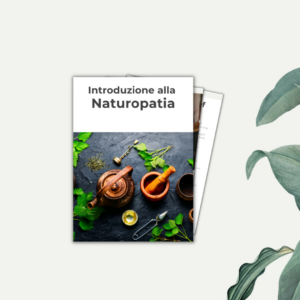 E Book Mock ups 43