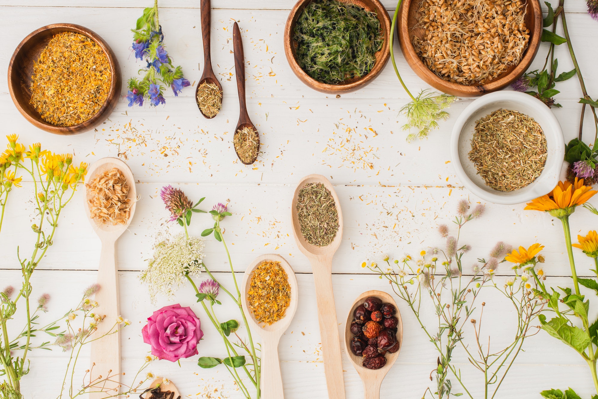 Introduzione alla naturopatia