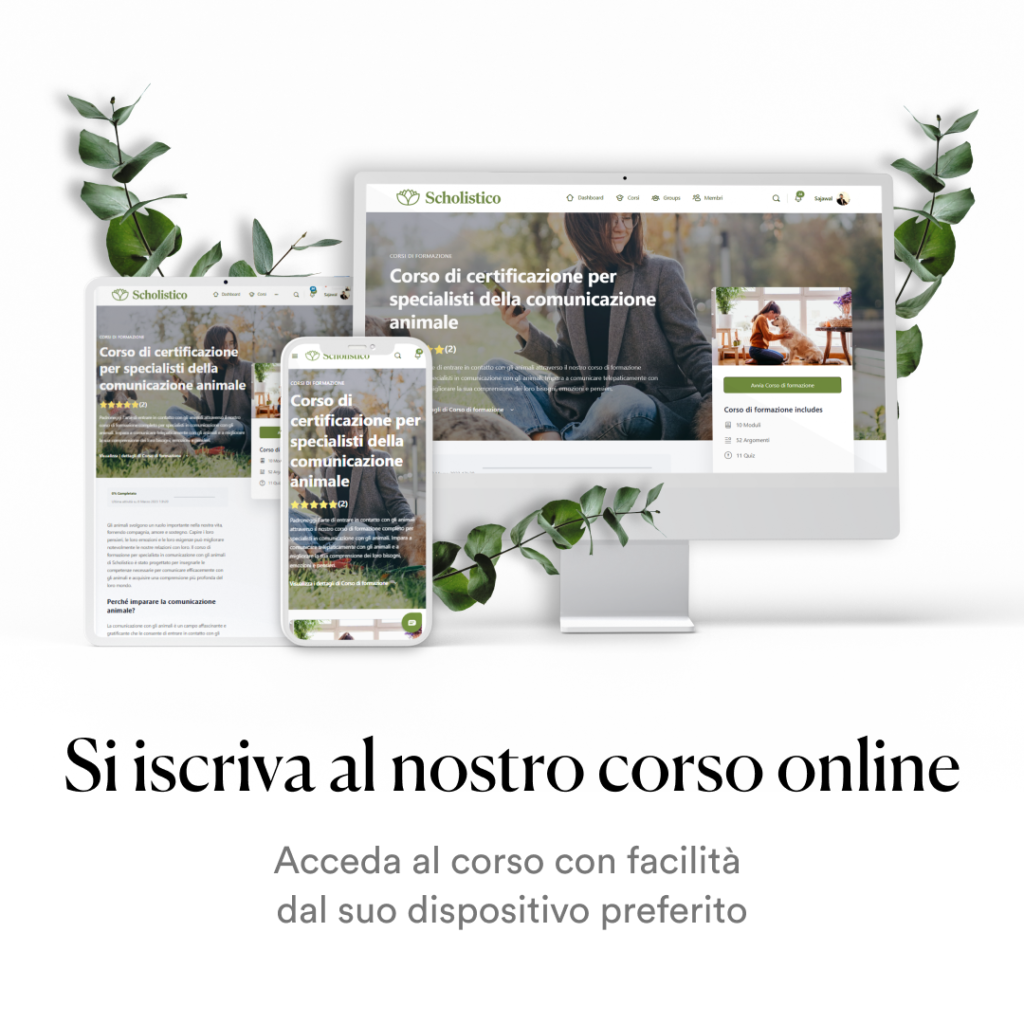 IT ANCOM MOCKUP 1