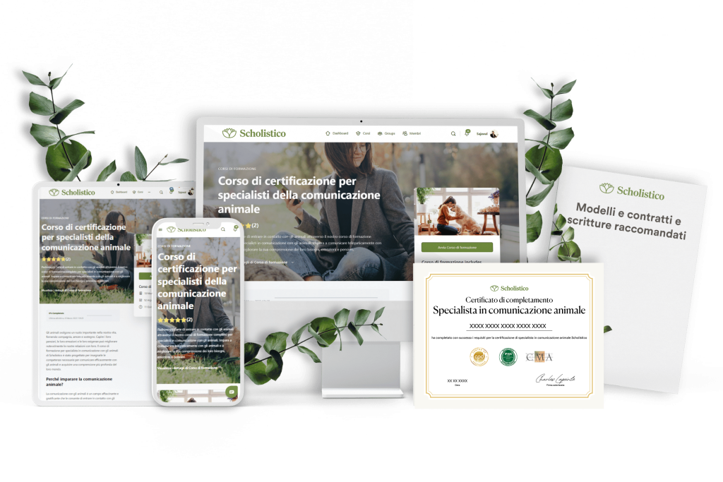 New IT CTA 7